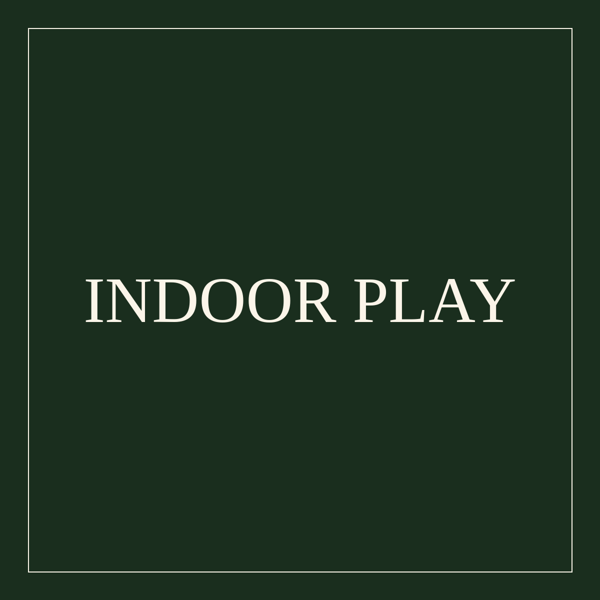 Indoor Play