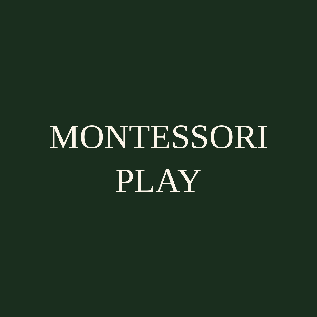 Montessori Play