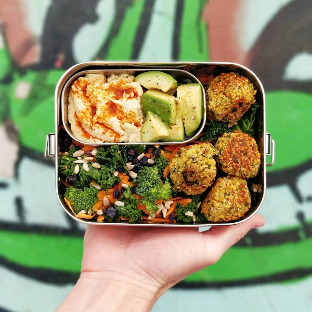 Ecozoi Stainless Steel Lunch Box for Kids and Adults, Solid Print, 1 Tier Leak Proof, 24 oz