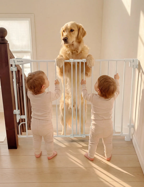Boundless R30 ProFlex | Removable No-Trip Baby Gate for Stairs