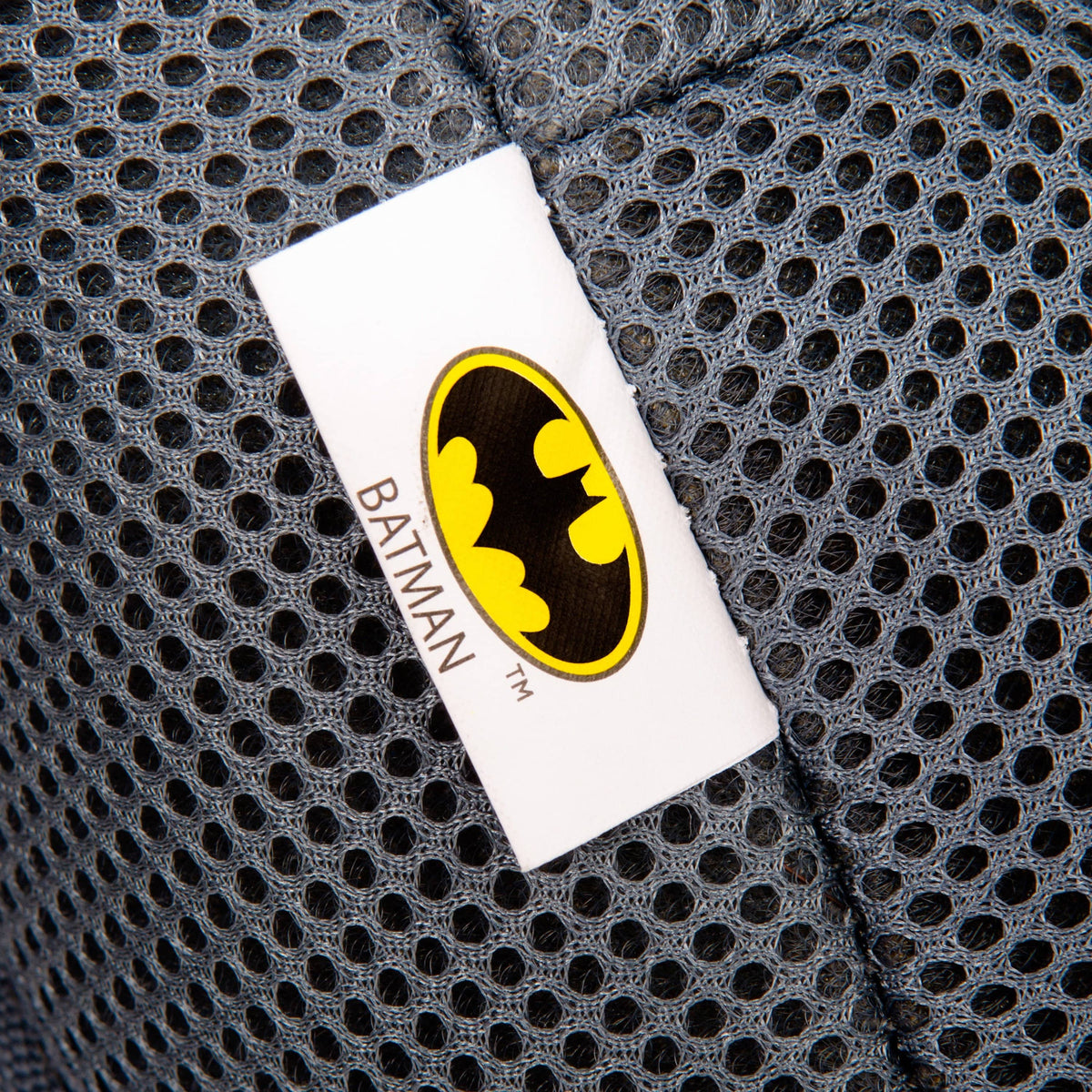 BATMAN • Blue | 2-in-1 Car Seat