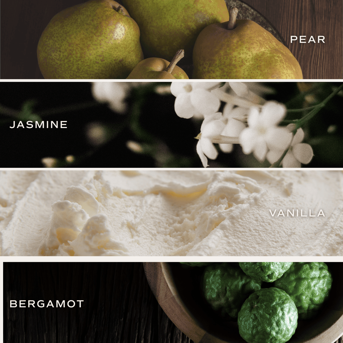 Cashmere and Vanilla Amber Reed Diffuser
