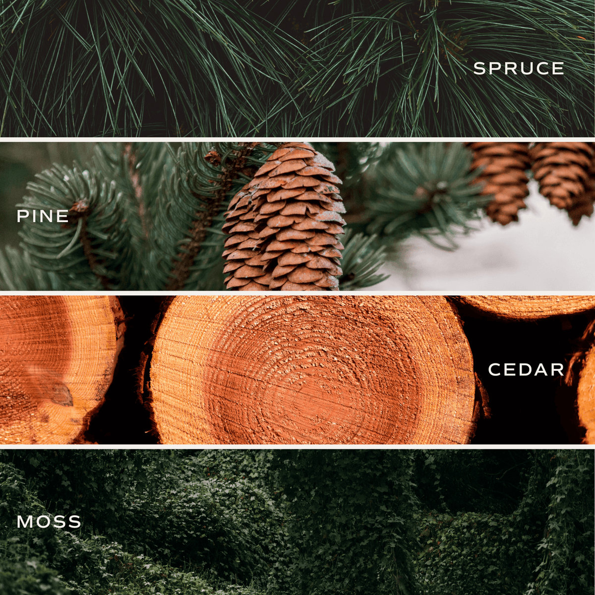 Christmas Tree Clear Reed Diffuser