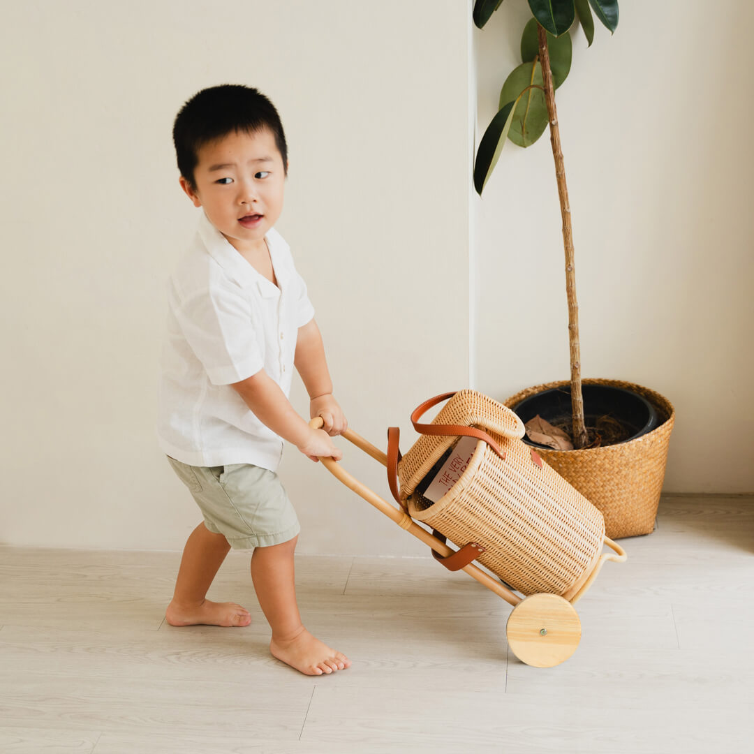 Eric Kids Shopping Trolley