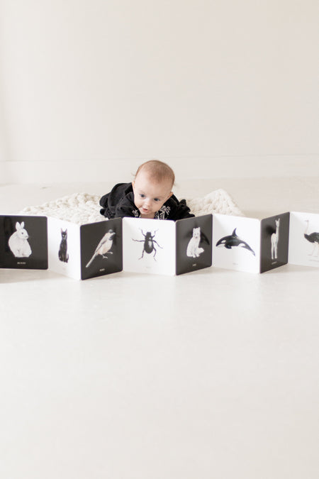 Baby & Sensory