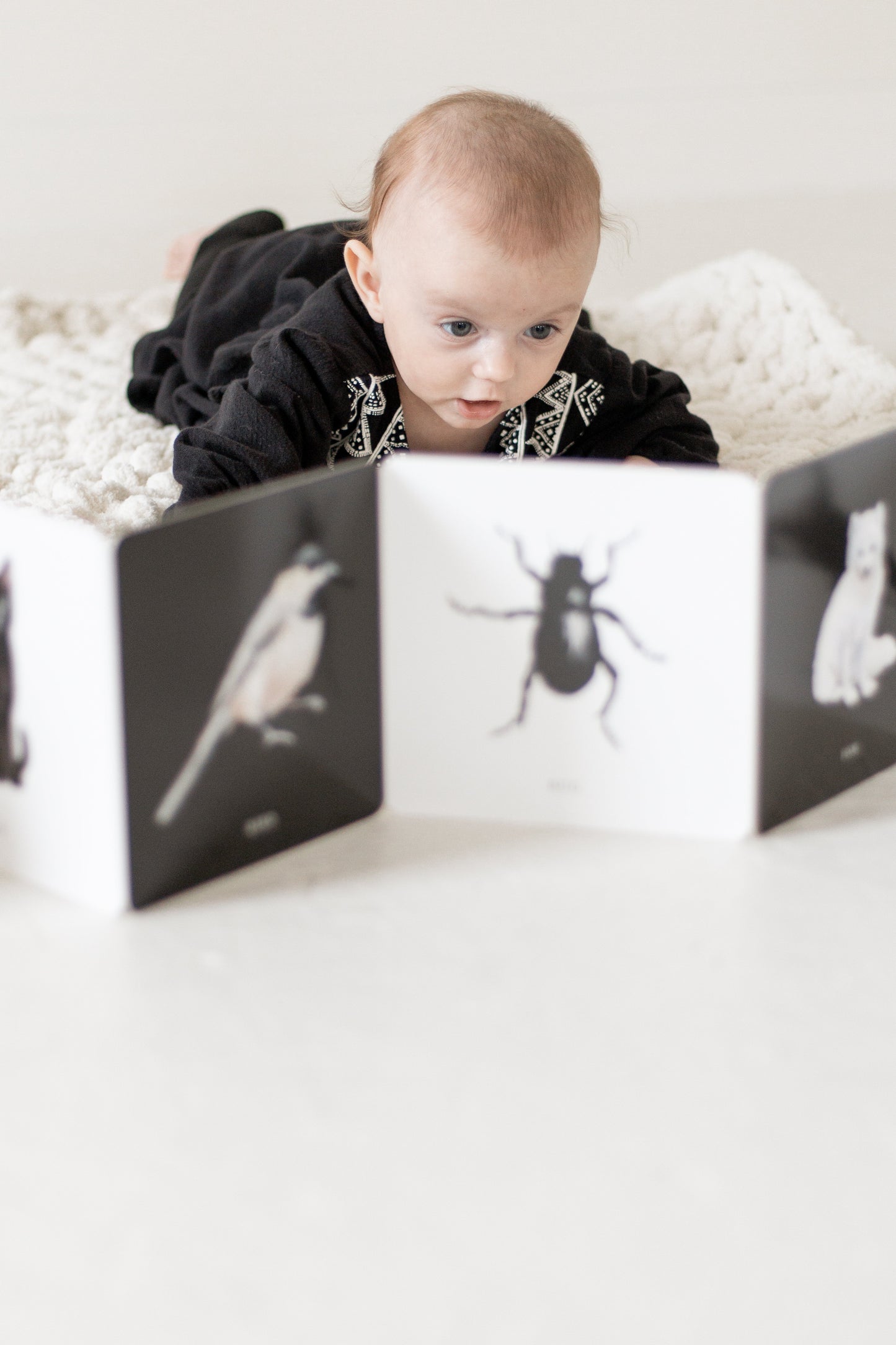 Black and White Contrast Book