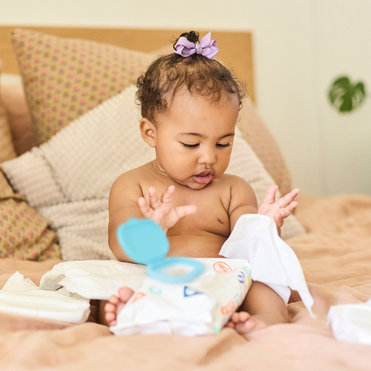 One-month supply of wipes (4 packs)