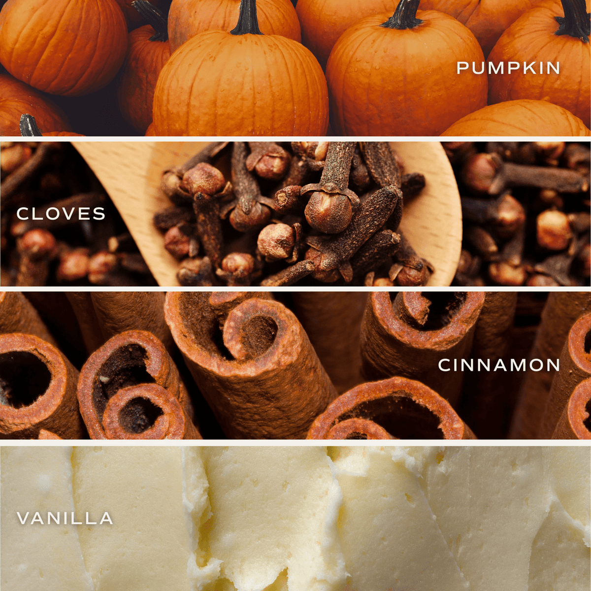 Pumpkin Spice Soy Candle - White Jar - 11 oz