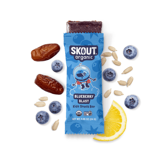 Skout Organic Blueberry Blast Kids Bar