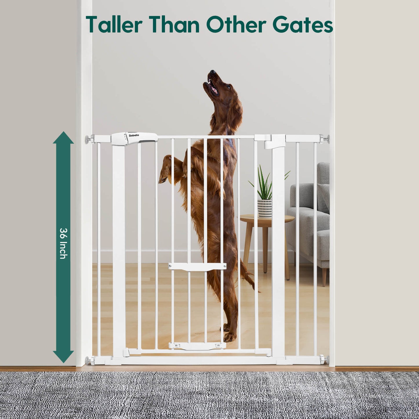 CatPrivilege F7 | Large Sliding Pet Door Baby Gate for Cats and Dogs