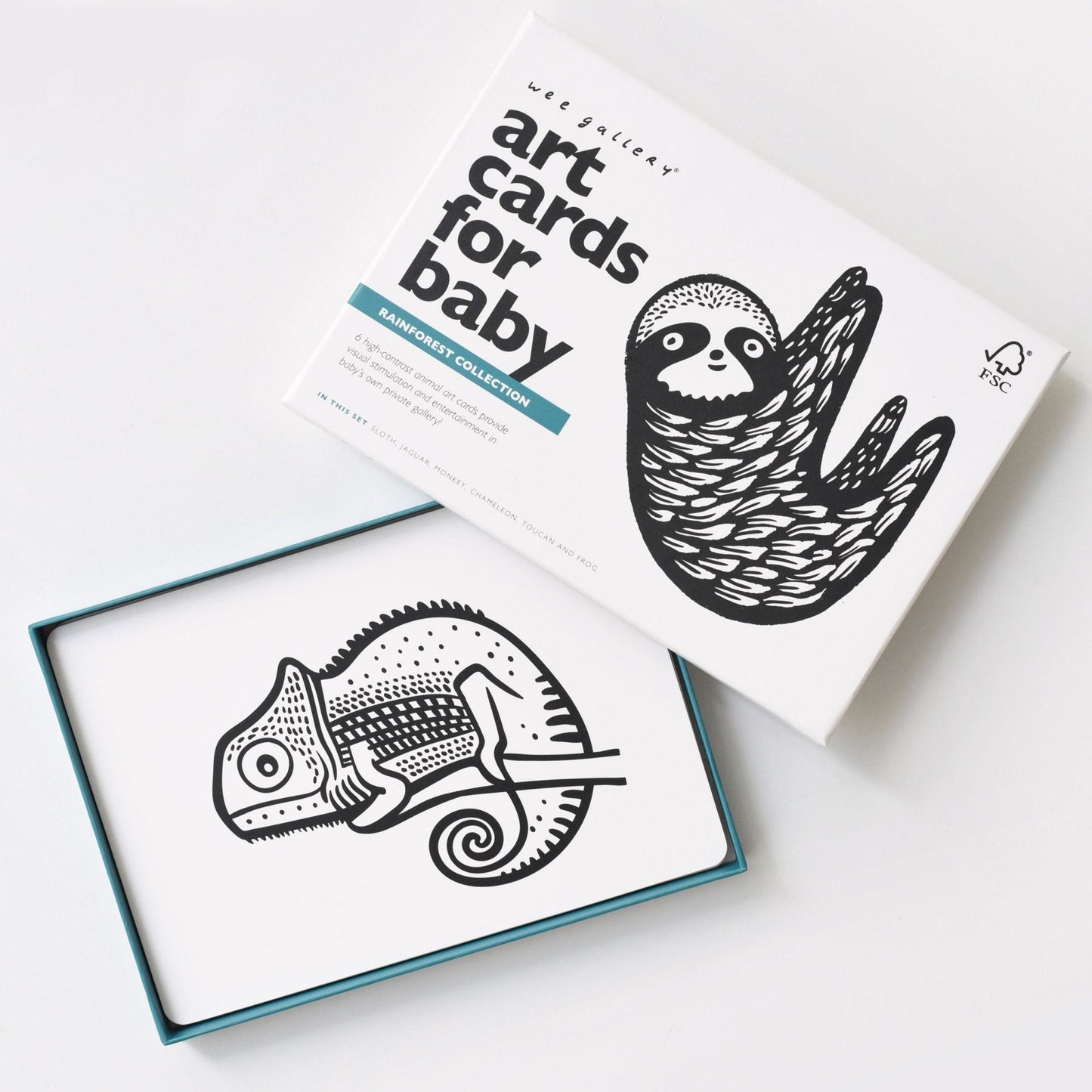 Art Cards for Baby - Rainforest Collection