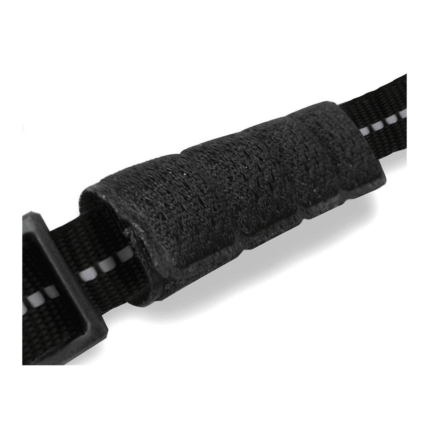 Flying Roses