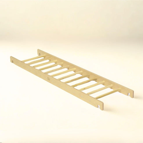 Ladder