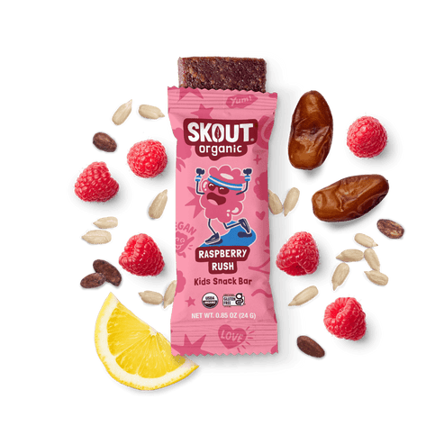 Skout Organic Raspberry Rush Kids Bar