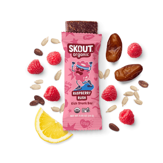 Skout Organic Raspberry Rush Kids Bar