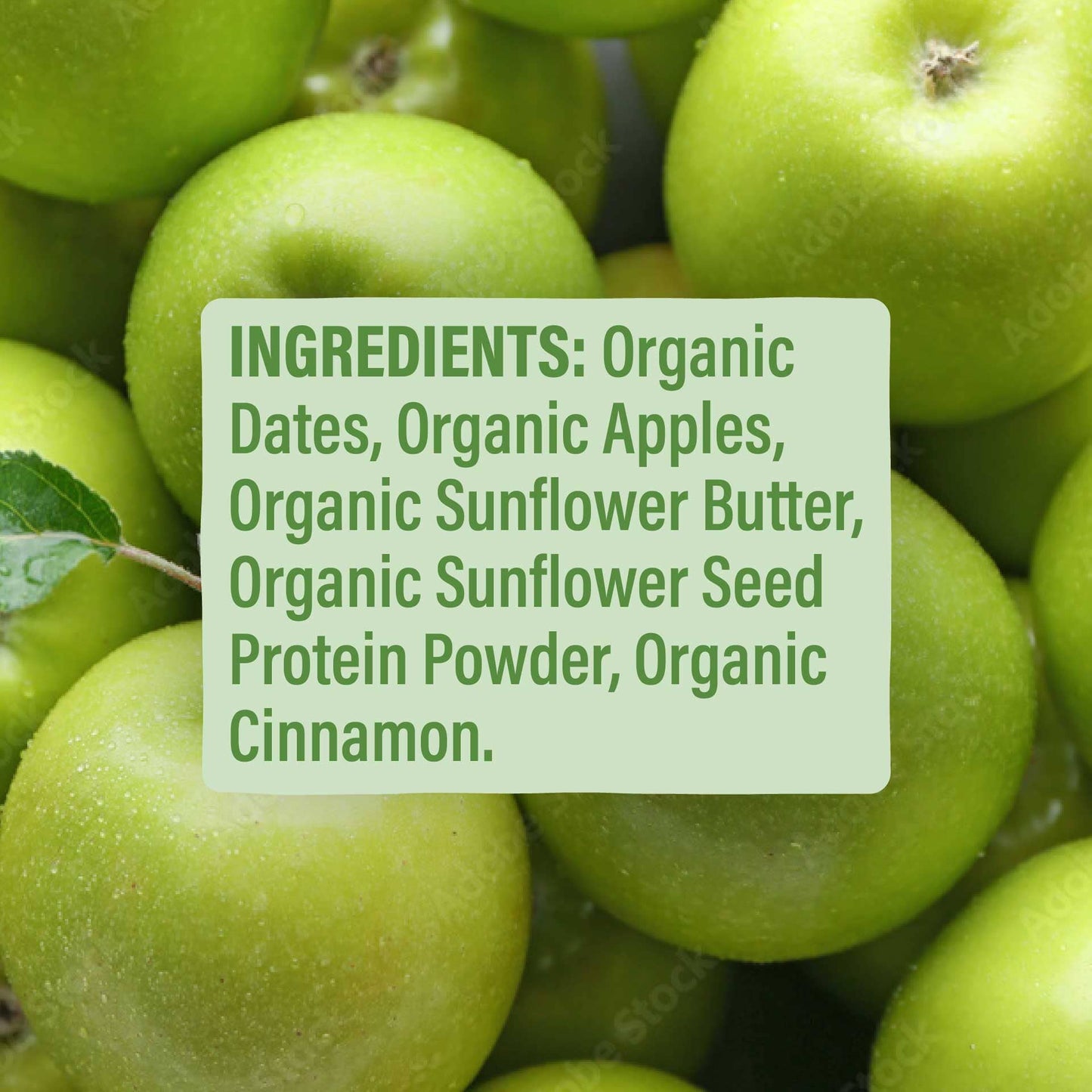 Skout Organic Apple Pie Kids Bar