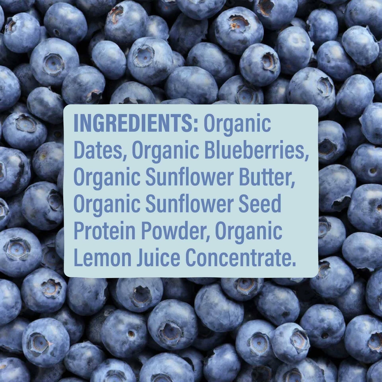 Skout Organic Blueberry Blast Kids Bar