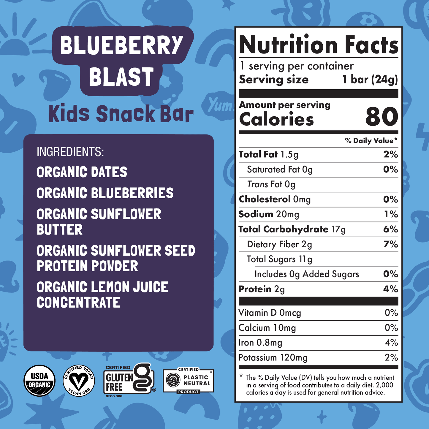 Skout Organic Blueberry Blast Kids Bar