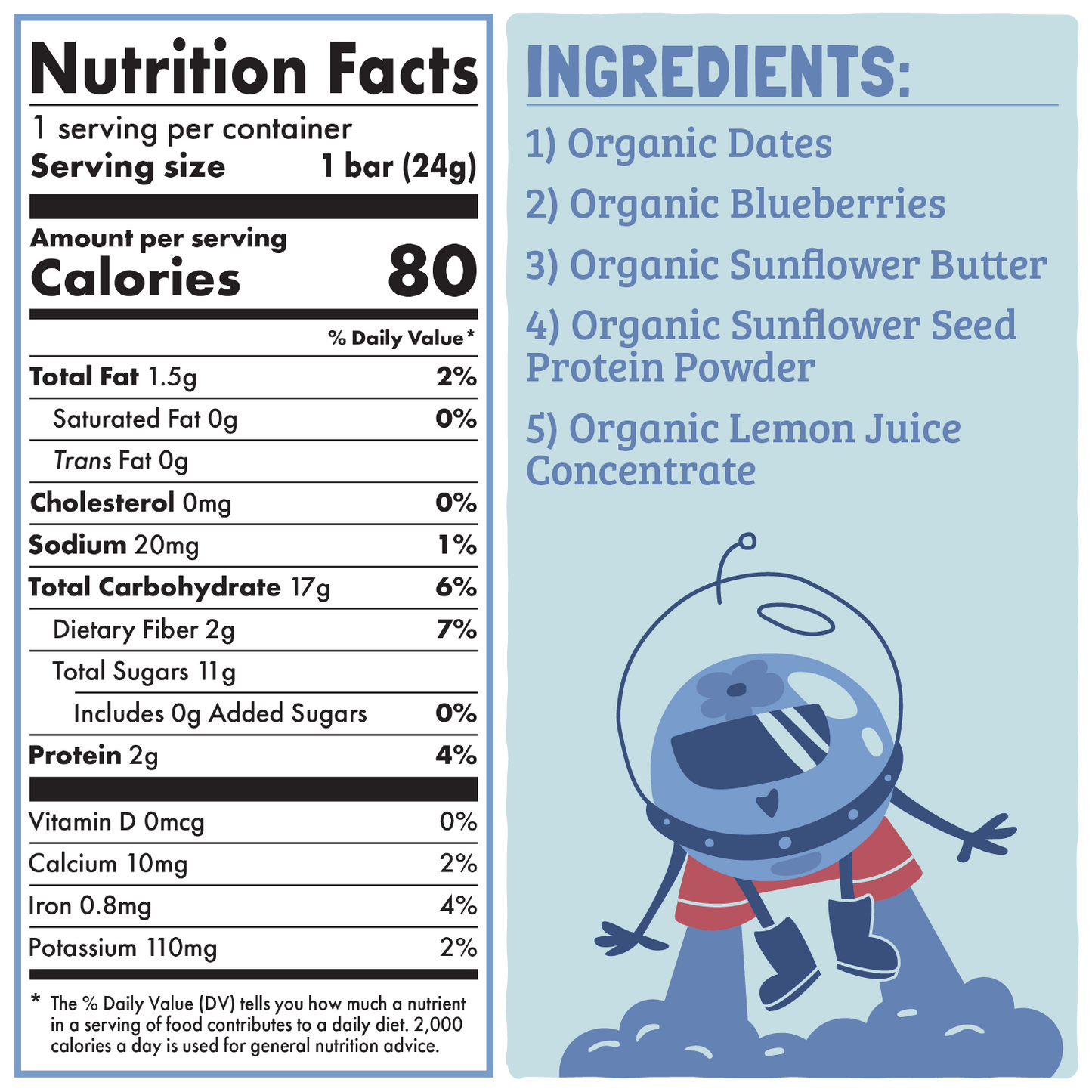 Skout Organic Blueberry Blast Kids Bar