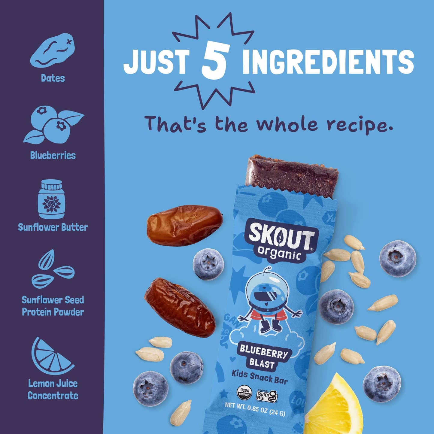 Skout Organic Blueberry Blast Kids Bar