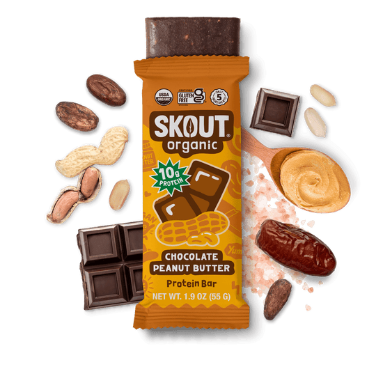 Skout Organic Chocolate Peanut Butter Protein Bar