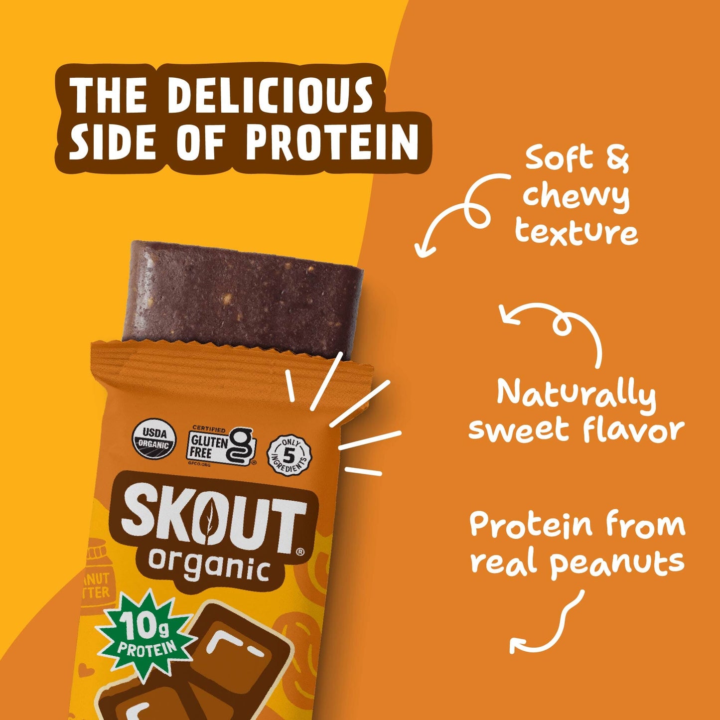 Skout Organic Chocolate Peanut Butter Protein Bar