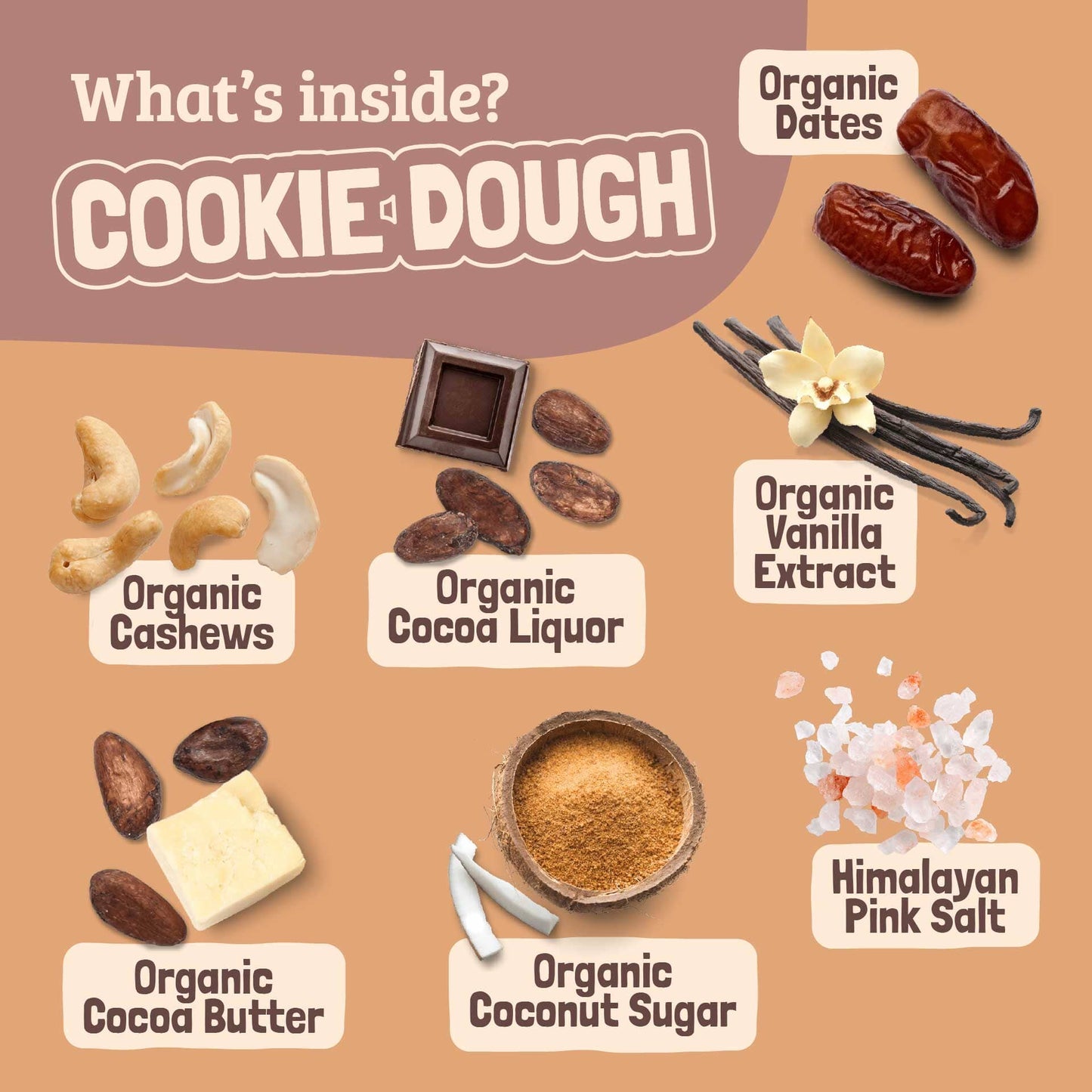 Skout Organic Cookie Dough Kids Bar